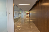 239. Thirty Second Floor
