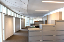 250. Thirty Third Floor