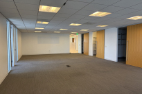 293. Suite 4650
