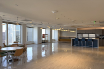 316. Fiftieth Floor