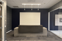 46. Suite 260