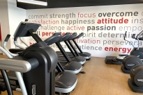 38. Gym
