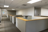 71. Suite 1100
