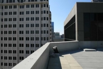 101. Rooftop