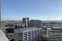189. Rooftop
