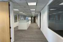 117. Suite 1050