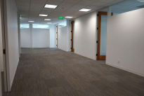 141. Suite 1200
