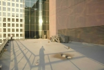 152. Rooftop