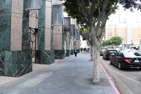 12. Exterior