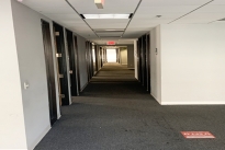 99. Suite 775