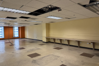 219. Suite 1440