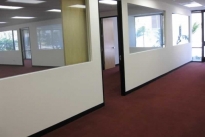 8. Suite 115