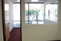 10. Suite 115