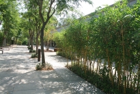 10. Exterior Plaza