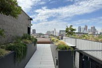 164. Rooftop