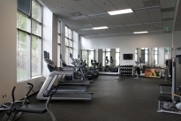 53. Gym