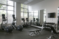 54. Gym