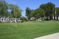 19. Exterior