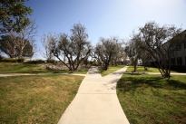 6. Exterior