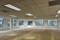 31. Suite 300