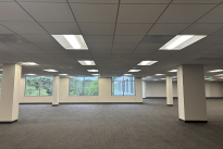 46. Suite 350