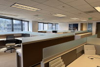 84. Suite 480