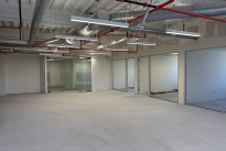 145. Suite 2020
