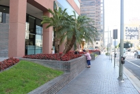 12. Exterior
