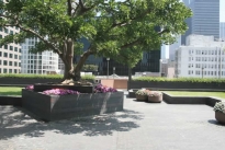 29. Upper Plaza