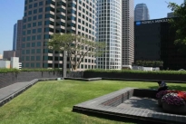 39. Upper Plaza