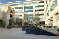 28. Exterior
