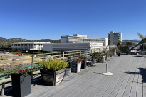 55. Rooftop