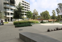 19. Plaza