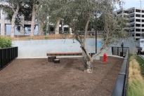 47. Dog Park