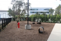 48. Dog Park