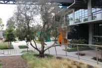 35. Plaza