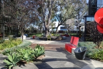 39. Courtyard