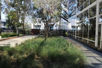45. Courtyard