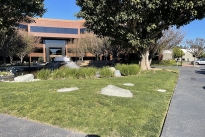 17. Plaza