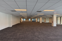 152. 3900 Bldg. Suite 210