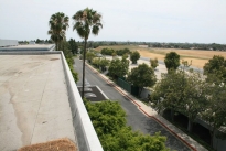 36. Rooftop