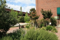 38. Exterior 