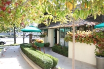 109. Bungalows