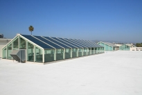 166. Rooftop