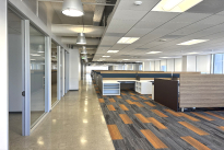 303. Suite 1600