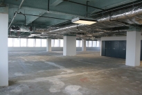 244. Suite 1250