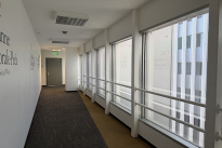 239. Suite 1100 Hill Bldg.