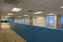 233. Suite 925 Hill Bldg.