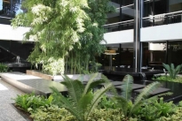152. Courtyard