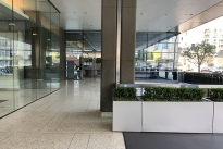 14. Exterior Olive St